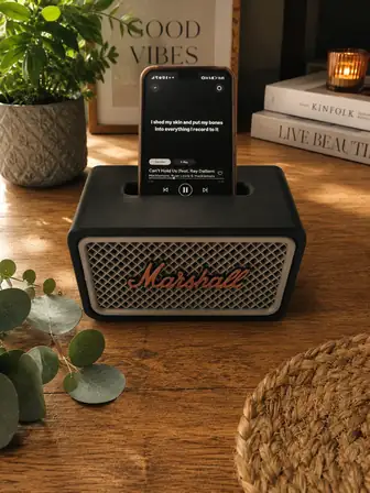 Amplificateur acoustique